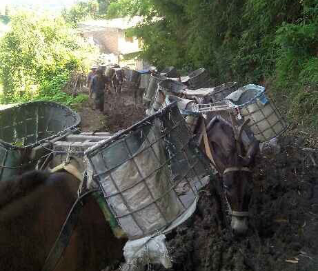 潮阳区马帮搬运