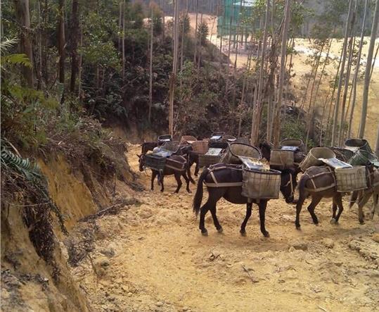 潮阳区马帮山路运输
