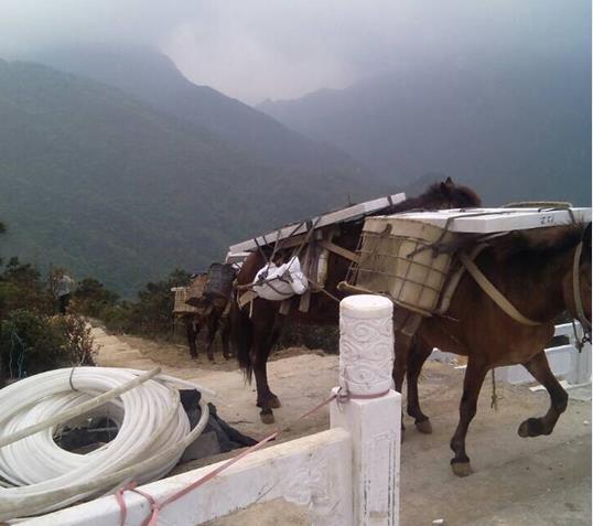 潮阳区山区马帮运输