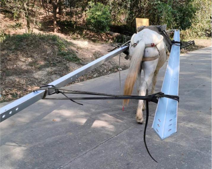 潮阳区马队搬运