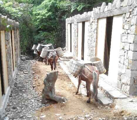 潮阳区马队运输队