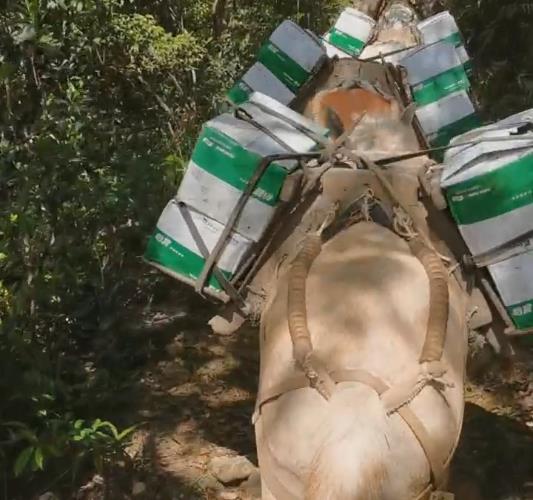 潮阳区骡马山路运输