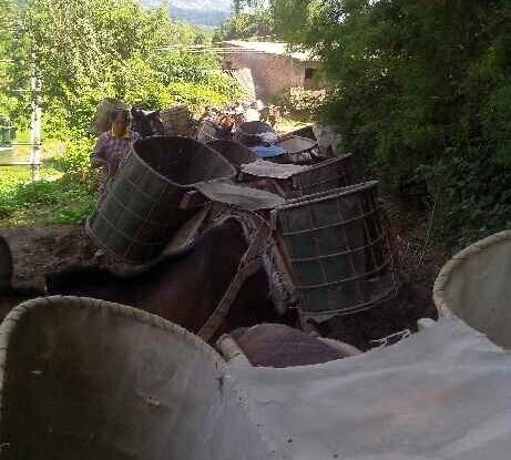 潮阳区骡马运输队