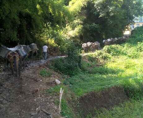 潮阳区马帮运输队