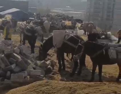 潮阳区马队山路运输