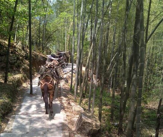 潮阳区山路马队运输