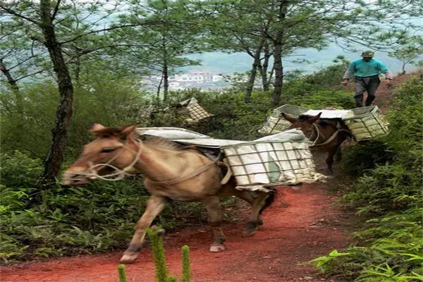 20edeb4386e1578ee85e75e64b3d438